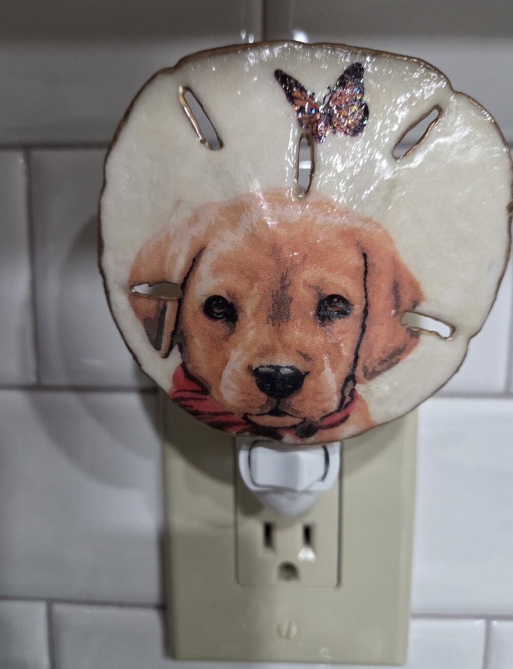 Handcrafted Lab Puppy ALL NATURAL SAND DOLLAR Nite Light Standard Bulb